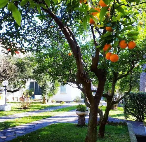 Holiday Home 1 Bedroom 1 Bathroom - Sestri Levante