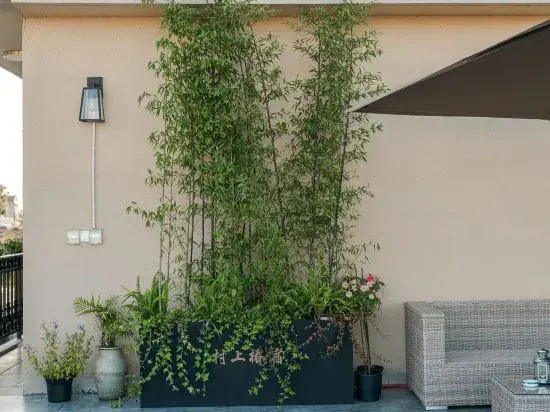Shanghai Cunshangchunsu Homestay