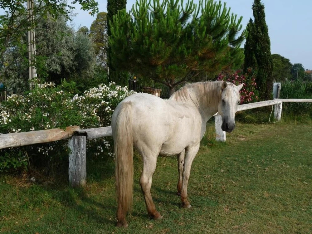 La Bergerie