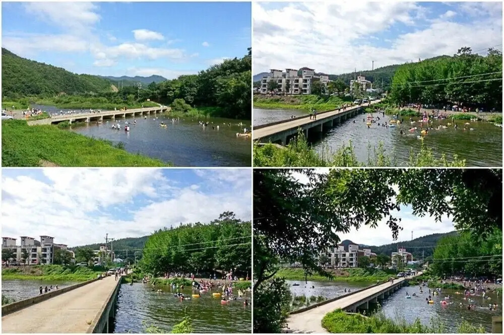 Gumgwan forrest Riverside house