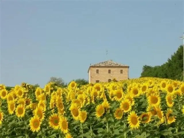 Casina Foglietti