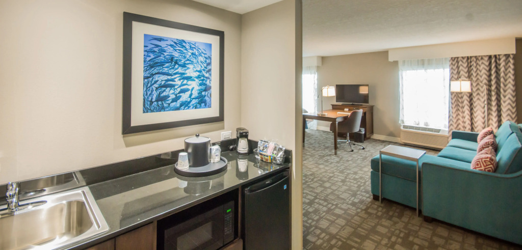 Hampton Inn & Suites Orlando near SeaWorld