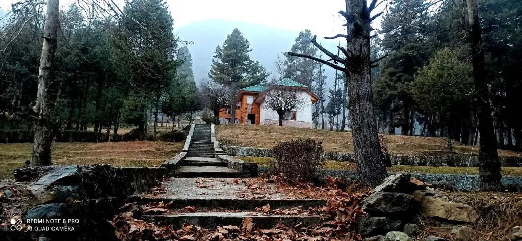 Pahalgam Woods