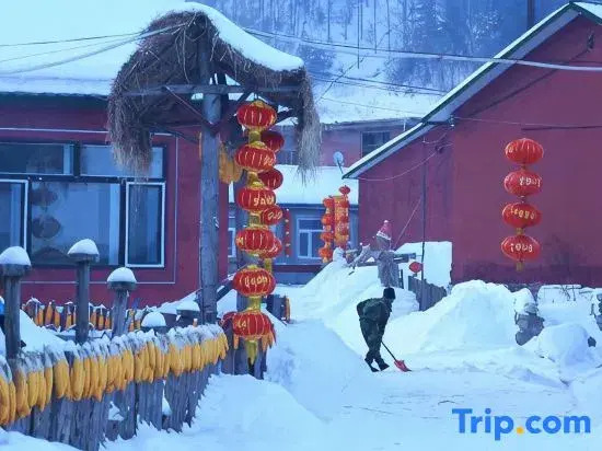 Snow Valley Dreaming Family Inn