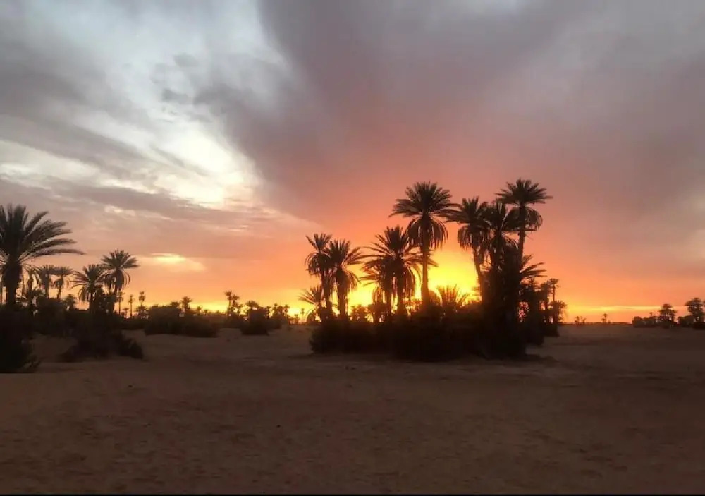Camp Sahara Majestic