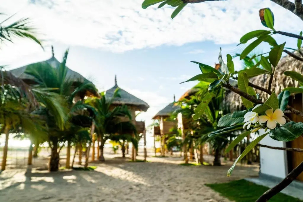 Whisky Point Resort