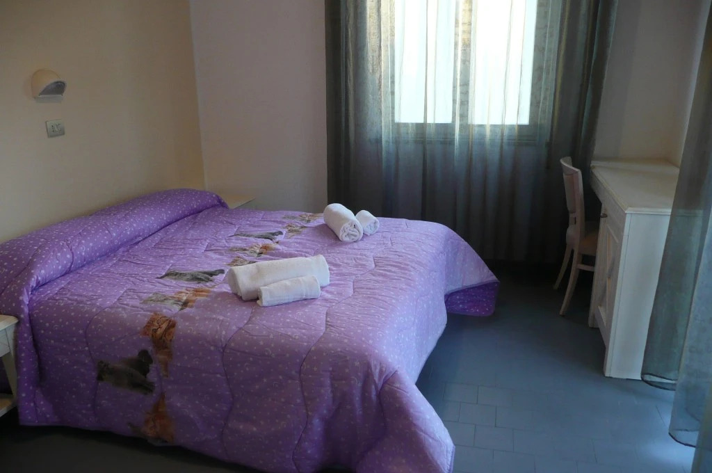 Hotel Naica