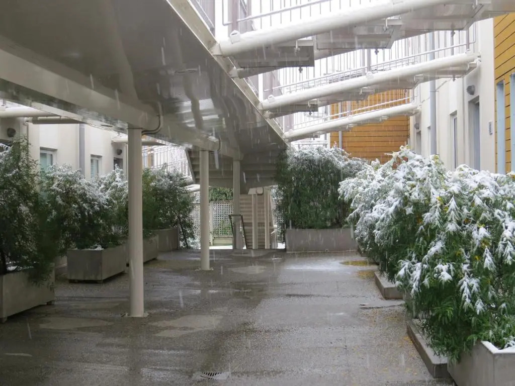 Belvedere Apartments