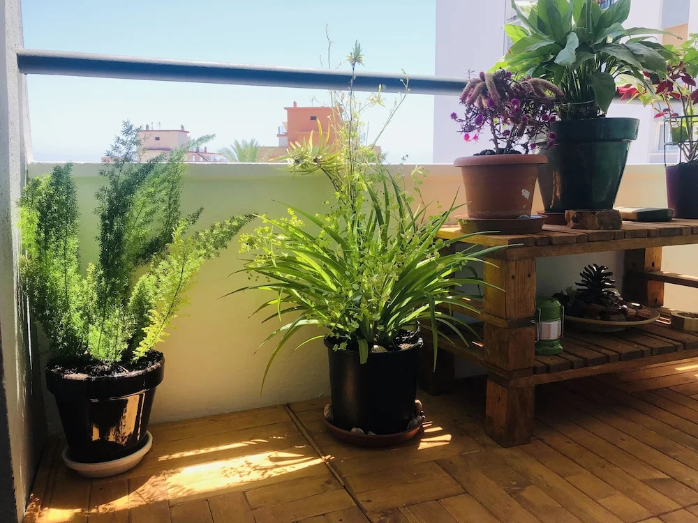 Apartamento Flamingo - 150m Playa