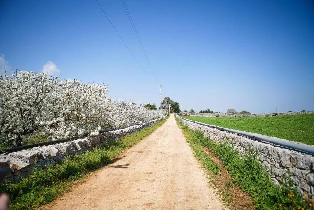Trullo Dellaia