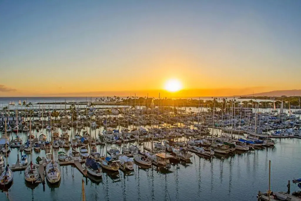 Ilikai Marina #988