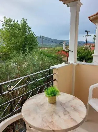 Antonio Studios