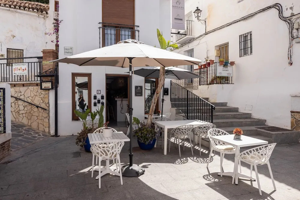 Olive & Ivy Guest House