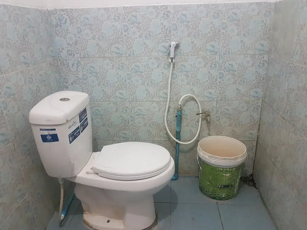 Back to Nature Hut