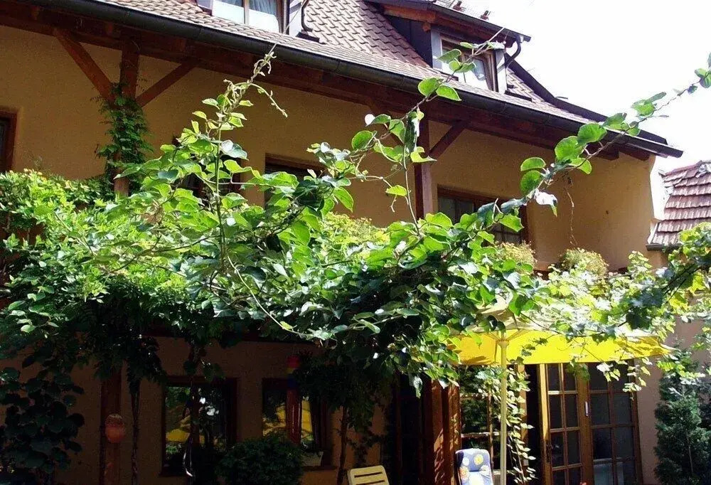 Gasthof - Hotel Kopf