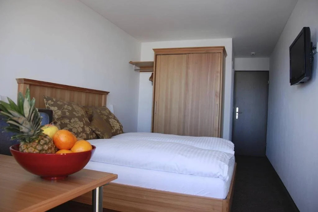 Hotel Alpina