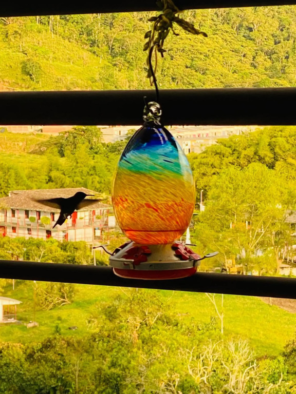 Colibri's Penthouse With Wild Hummingbirds & Views