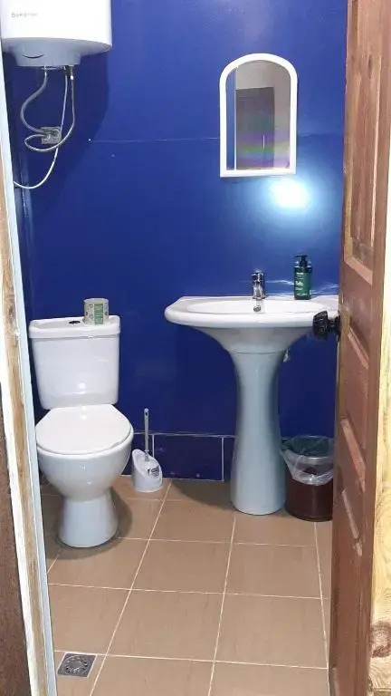 Guesthouse and restaurant SVANURI SAKHLI