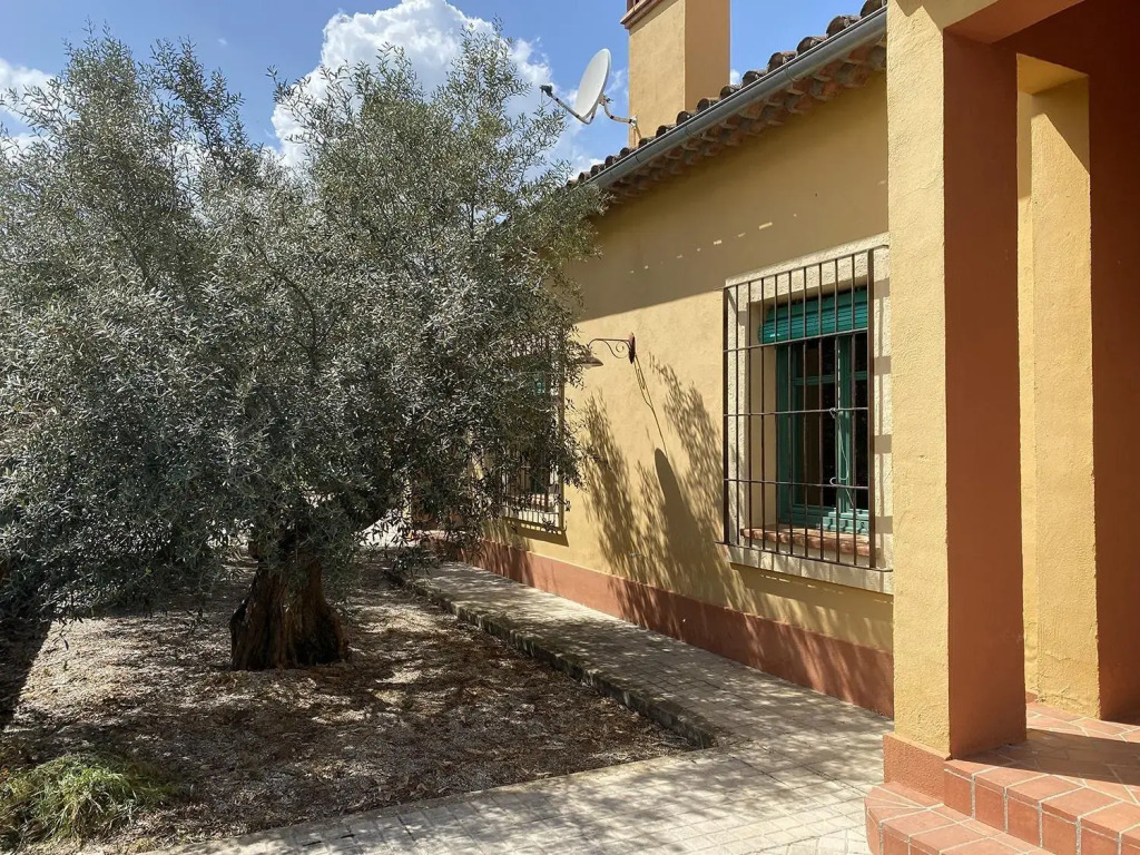 EL BAUZAL DE TRUJILLO