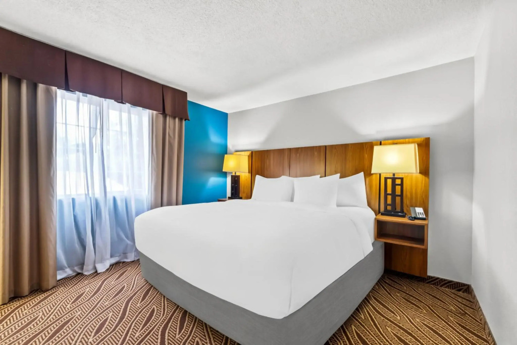 Quality Inn & Suites San Antonio Airport - Stone Oak