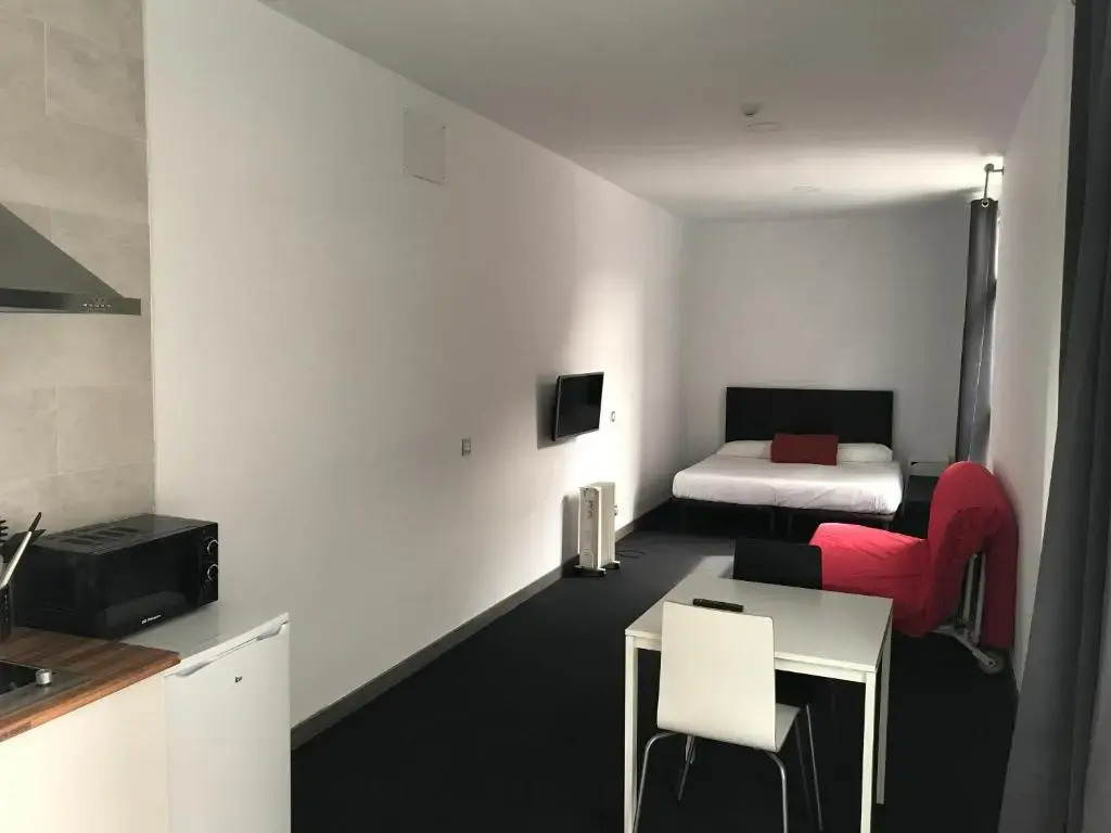 Room and Kitchen Bilbao