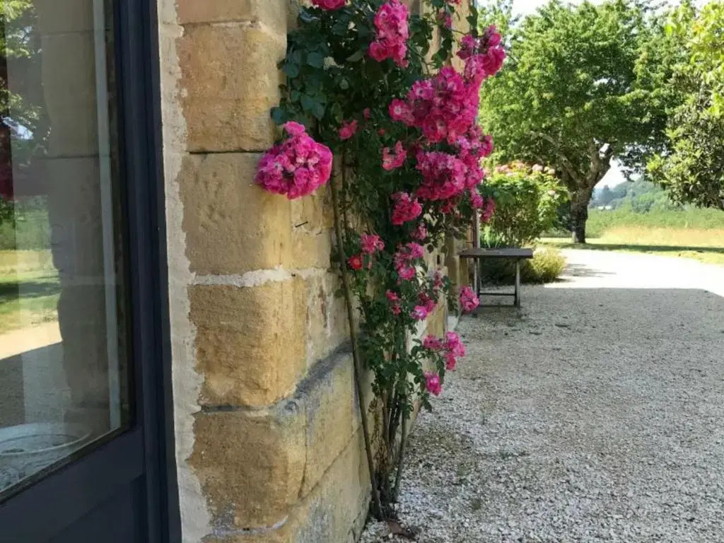 Gite La Roque-Gageac, 5 pièces, 8 personnes - FR-1-616-1