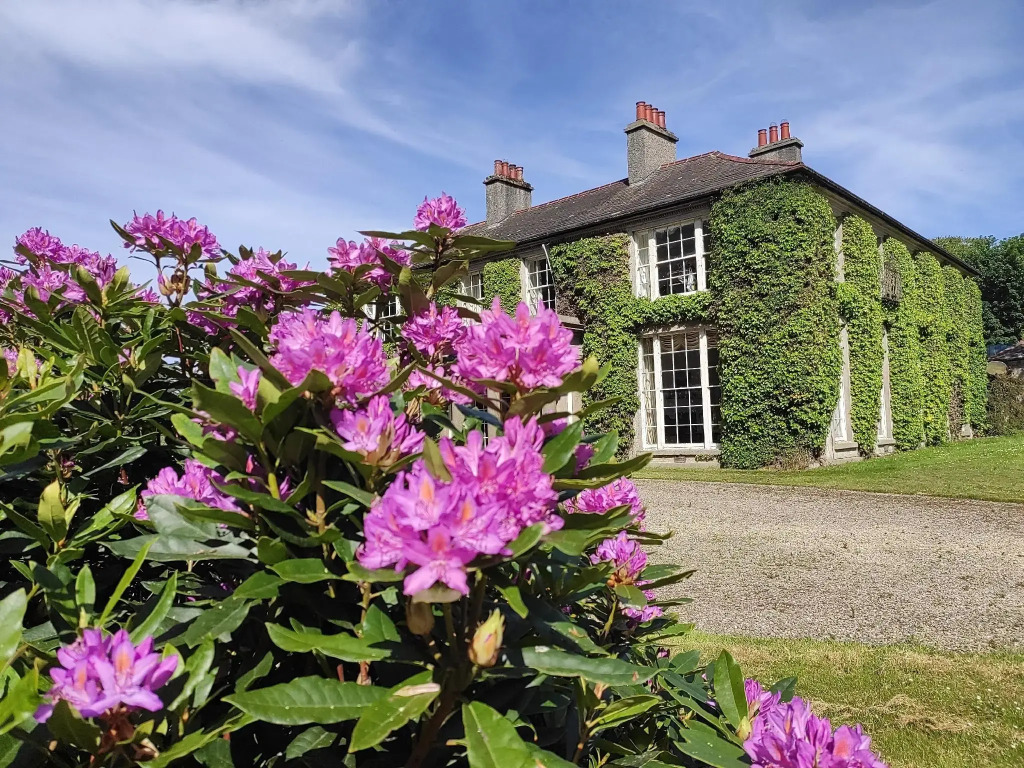 Tyrella House