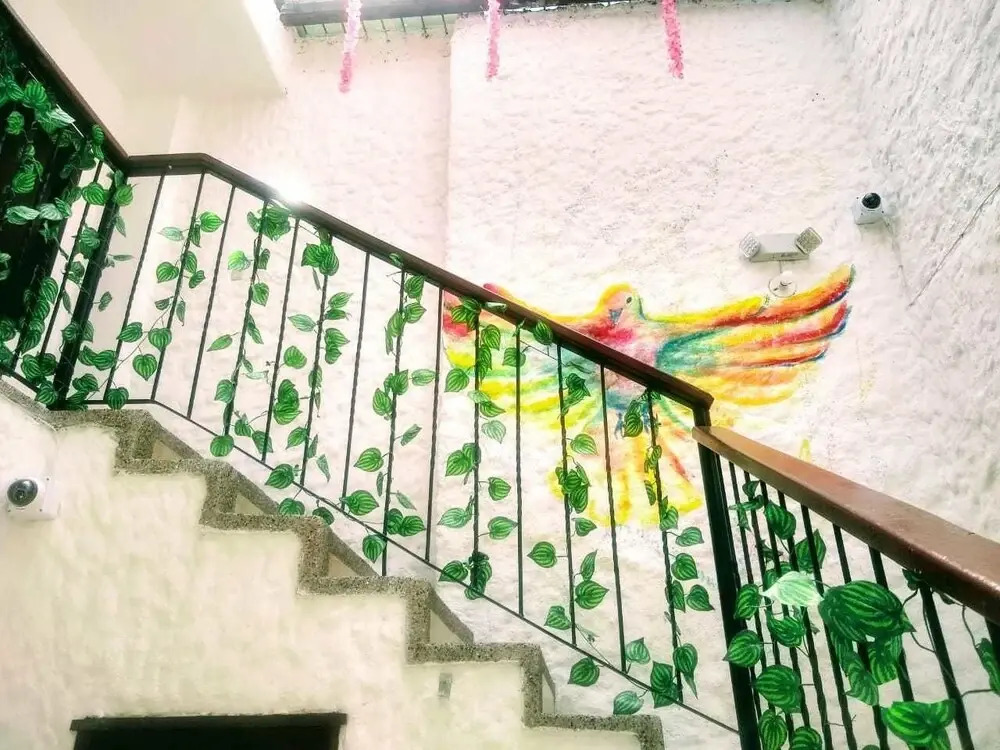 Basilica Hostal y Cafe - Hostel