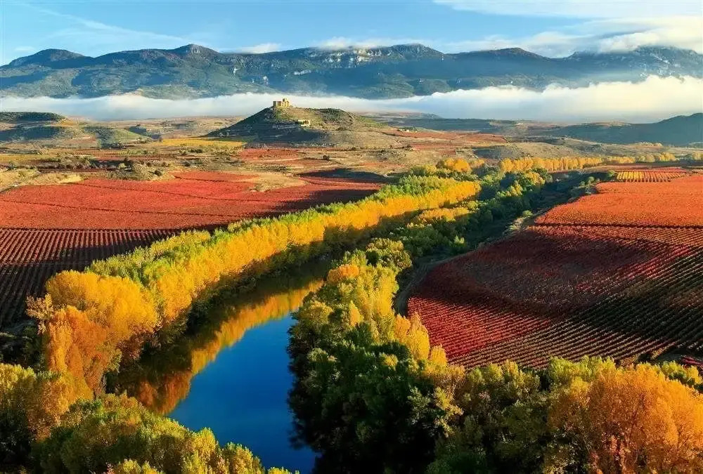 Albergue La Bodega