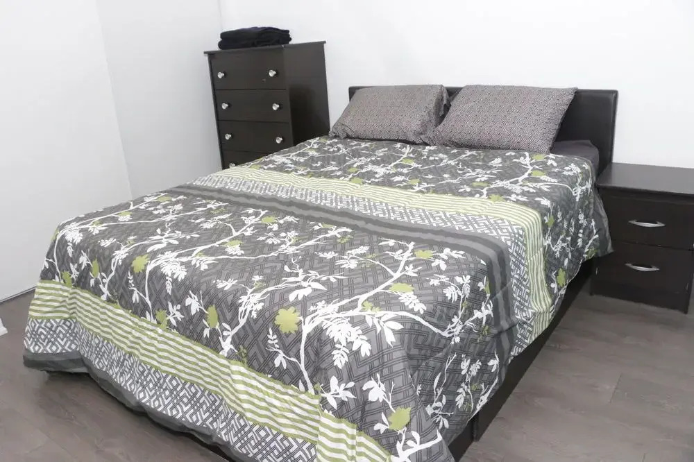Queen West Condo