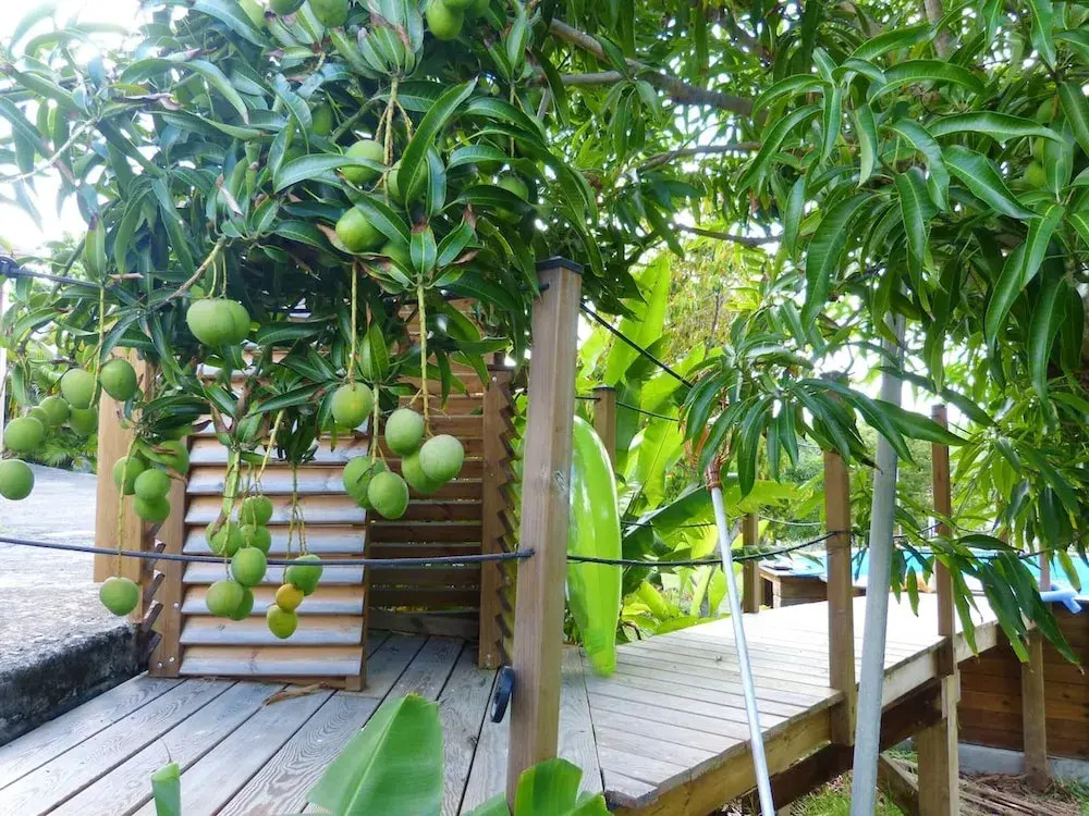 Apartment with One Bedroom in Sainte-Anne, with Shared Pool, Enclosed Garden And Wifi - 4 Km From the Beach