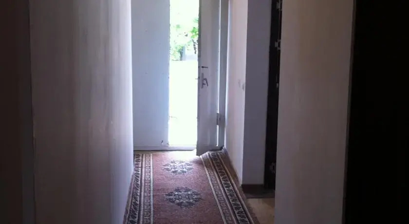 Saba Hostel