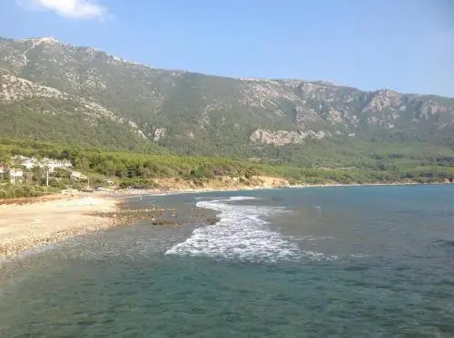Özgür Likya Pansiyon