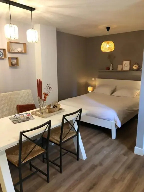 Luxe studio De Krasse Keizer - Volendam