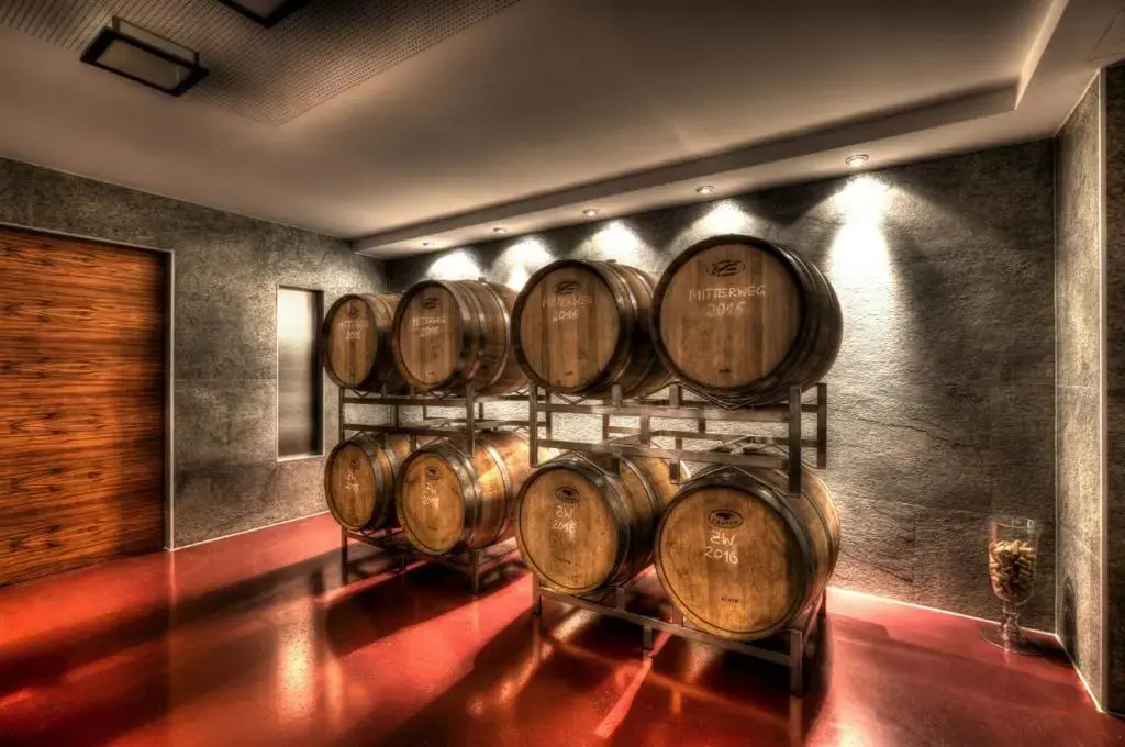 Weingut Apartment Hildegard Gangl