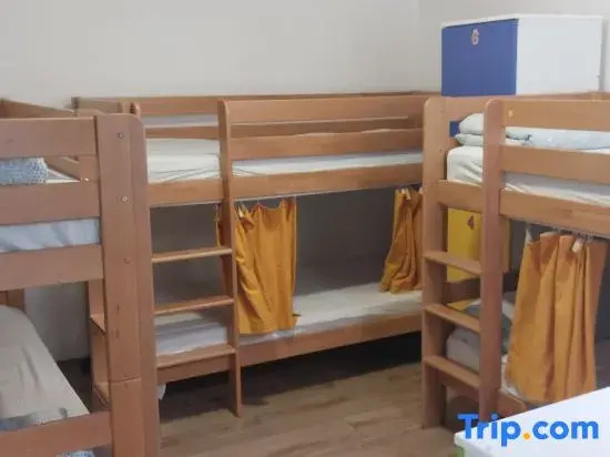 Hostel Inn Downtown