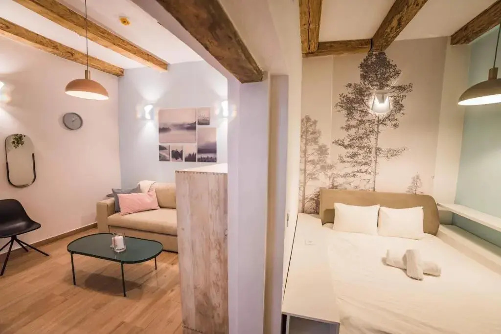 Casa Verde Brasov Flat 1
