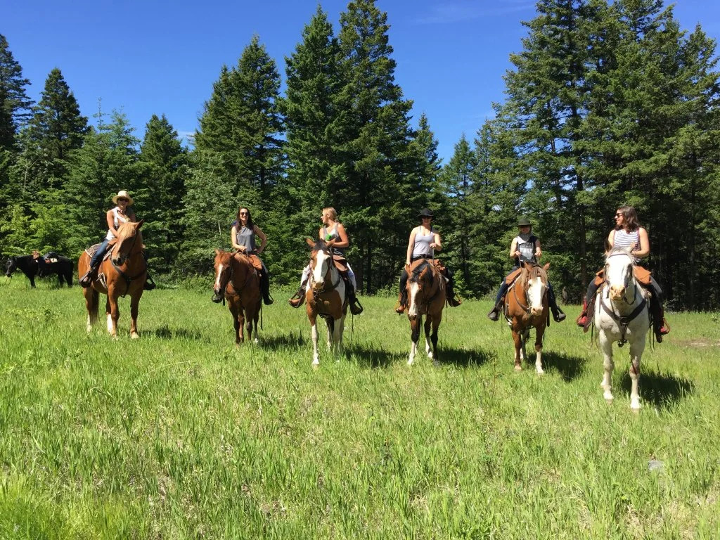 YD Guest Ranch