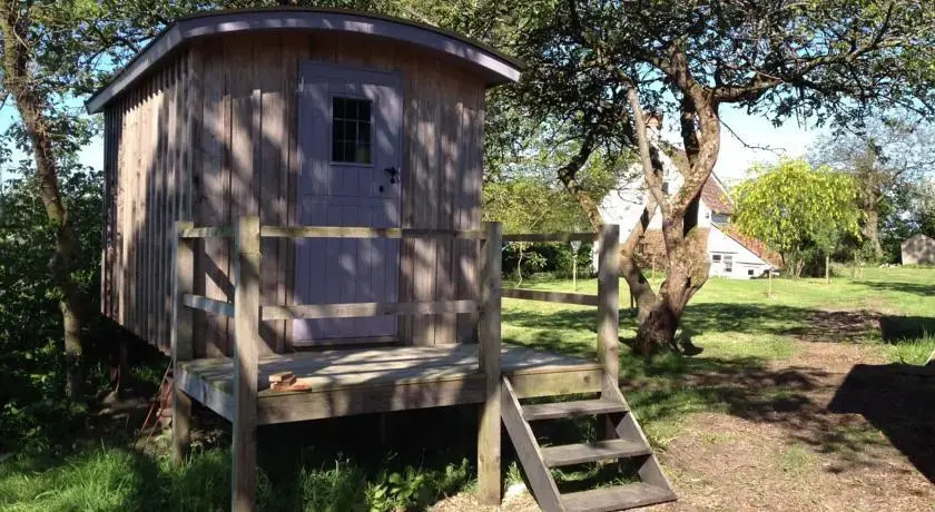 Shed and Breakfast