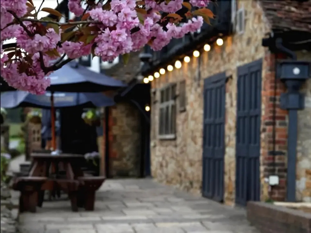 The Grasshopper Inn