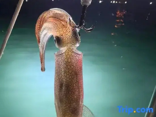 Vanke Shuangyewan Fengqinghai Villa Resort Club