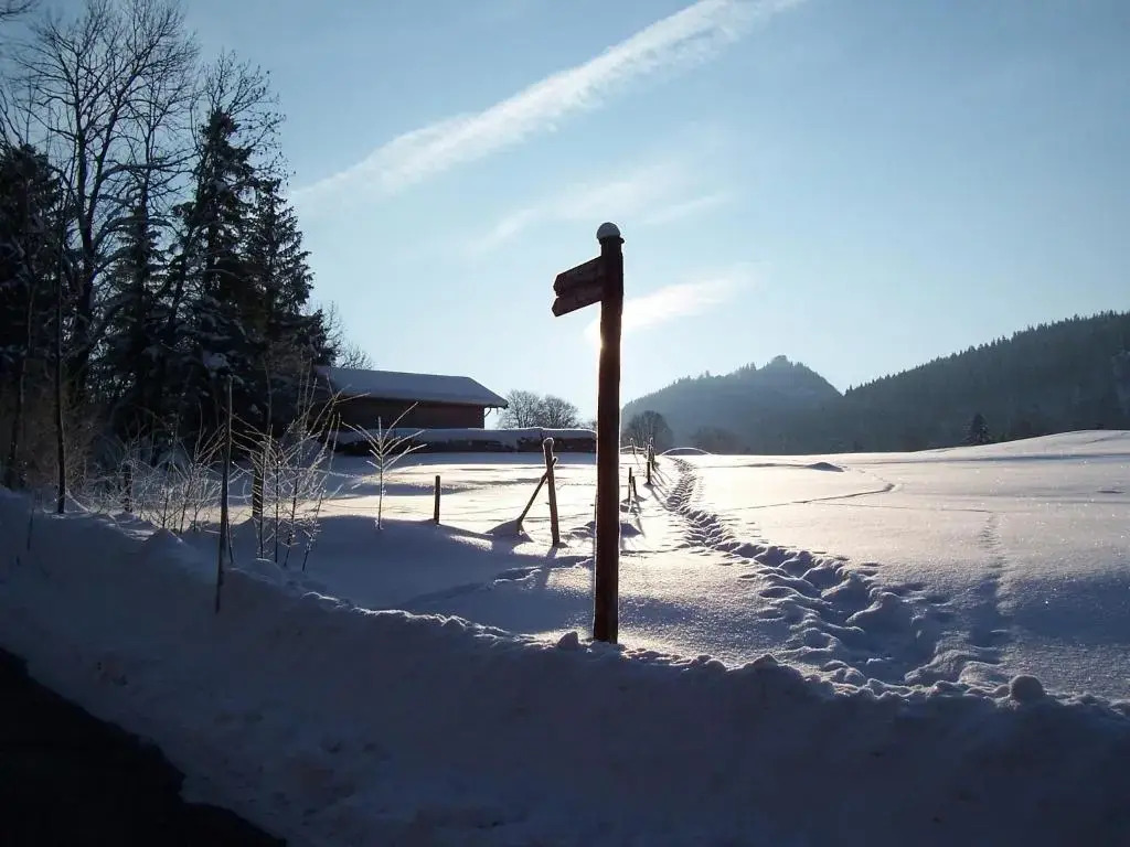 Ferienhaus Bach Gotthard
