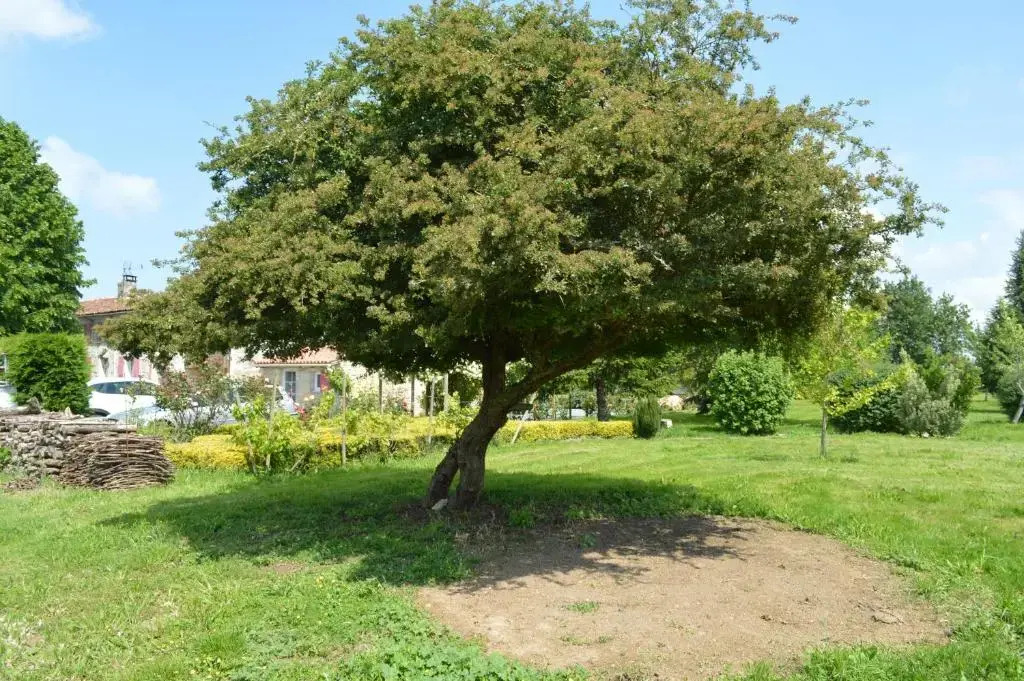 LA PASTORALE