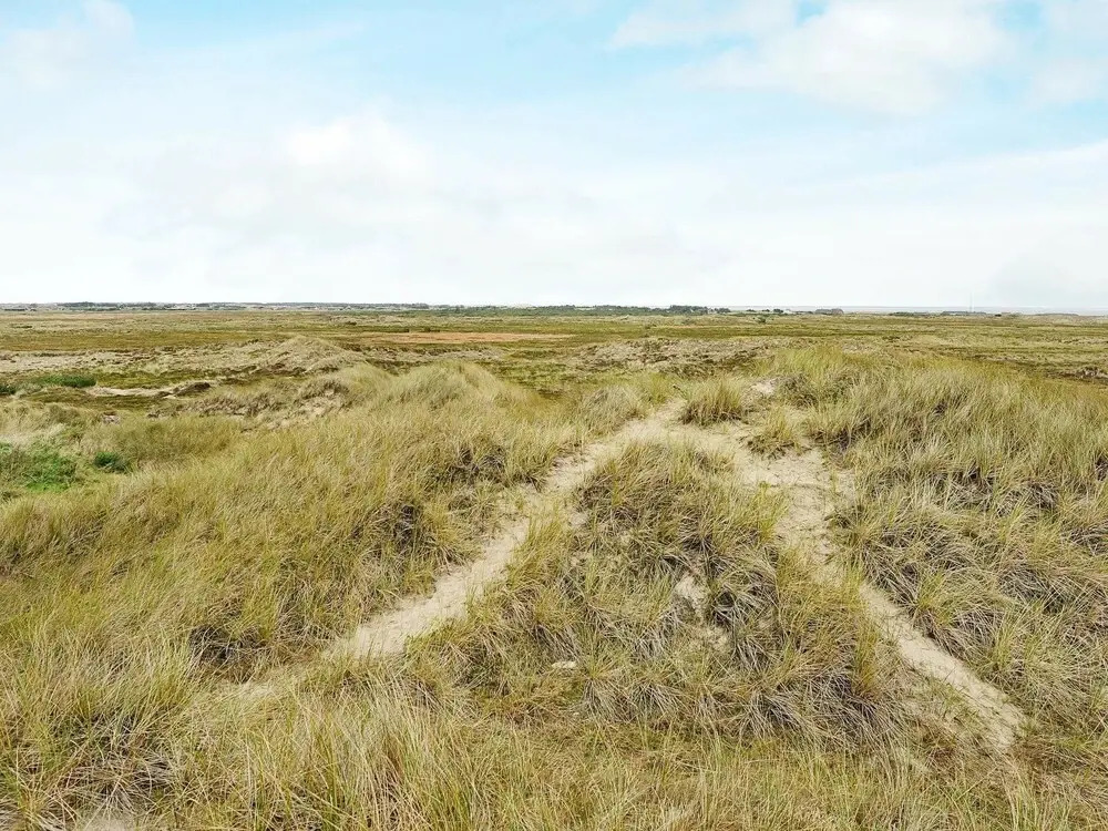Serene Holiday Home in Ringkøbing Near the Sea