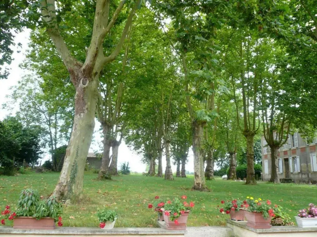 Gîte Bascons, 3 pièces, 4 personnes - FR-1-360-184