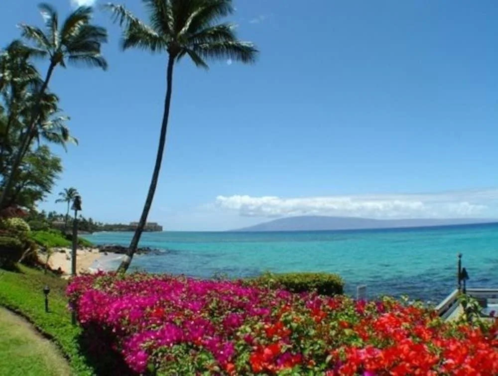 Polynesian Shores