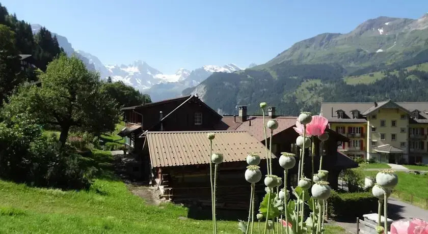 Wengens B&B