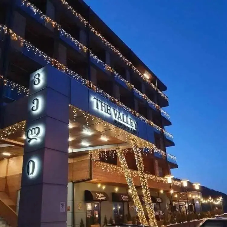 bakuriani didveli apartment