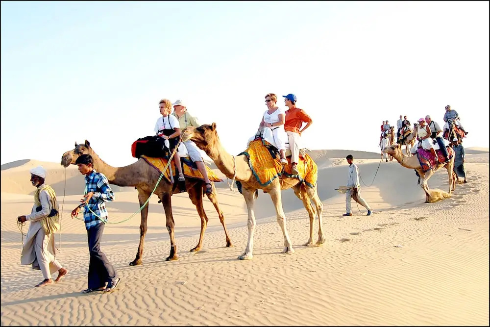Welcome Desert Camps