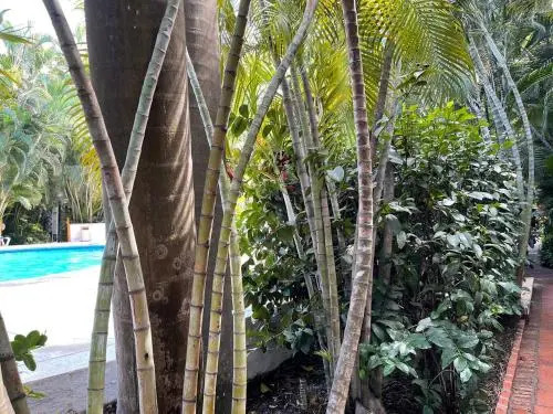 Suites Marbella